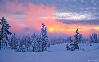 Wallpaper Nature Winter Wonderland