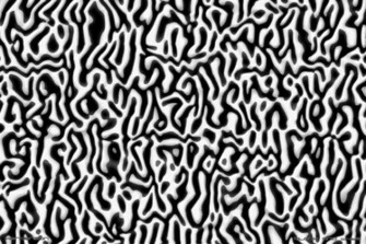 Wallpaper Abstract Black And White