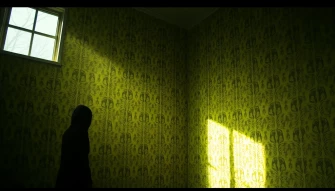 Diction In The Yellow Wallpaper