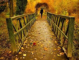 Rainy Autumn Day Wallpaper