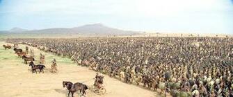 Watch Troy On Netflix Today Netflixmovies
