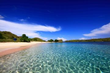 Tropical Wallpaper And Background Image