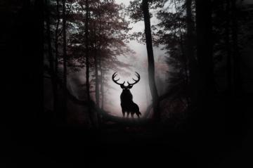 Fantasy Deer 4k Ultra HD Wallpaper