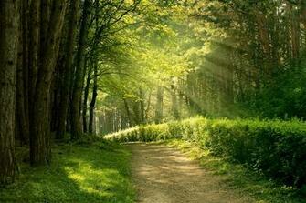 Trail In The Park Background Gallery Yopriceville High