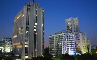 Delhi Capitals Wallpaper On