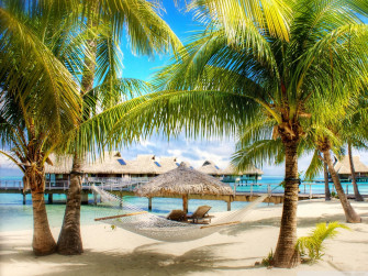 Tropical Beach Screensavers And Wallpaper