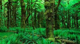 Nature Wallpaper HD Desktop Wallapers High