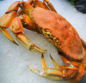The Ultimate Guide To Cooking Dungeness Crab Recipes Tips And Wallpaper