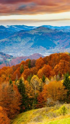 Fall iPhone Wallpaper Net