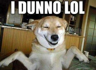 Funny Lol Face Pics HD Wallpaper Image Photo And