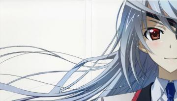 Laura Bodewig Infinite Stratos Wallpaper Zerochan