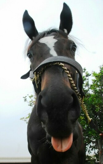 Zenyatta Wallpaper This Is As Taken By