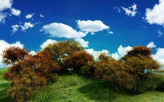 Hollywood Hills Wallpaper