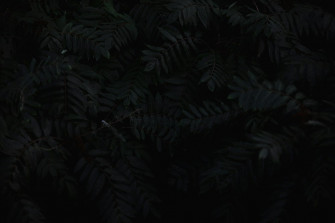 Black Background Image HD Background