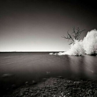 Wallpaper Black And White Nature