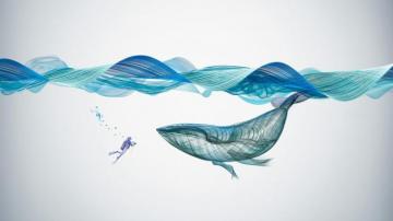 Underwater Whale Illustration Desktop Wallpaper