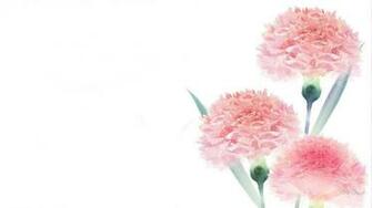 Simple Flower Desktop Wallpaper Top