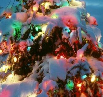 Best Christmas Wallpaper Ever Weddingdressin