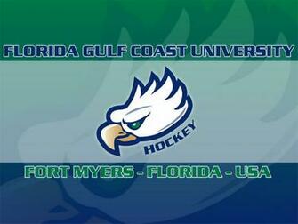 Best Florida Gulf Coast University Wallpaper