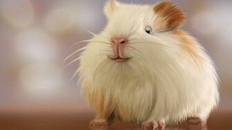 Hamster Wallpaper Best