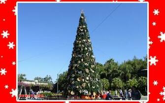 257canimal Kingdom 257centrance Xmas Jpg