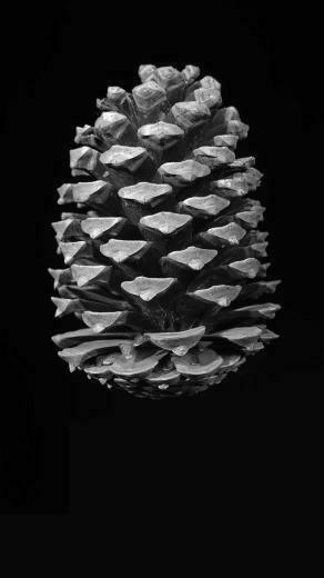 Weird Stones Wallpaper iPhone