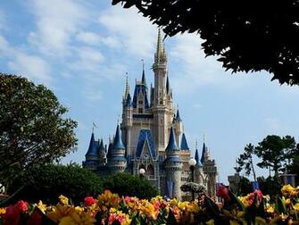 Some Disney Park S Photos Image Wallpaper