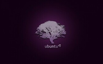 Twe4yiqj7si Aaaaaaaaeyc B S1600 Wallpaper Ubuntu Jpg