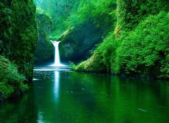 Creative Nature HD Greenish