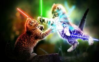 Wallpaper Cats Desktop