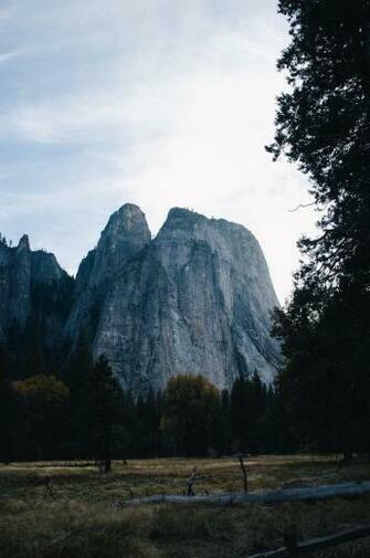 Astonishing Pictures Image
