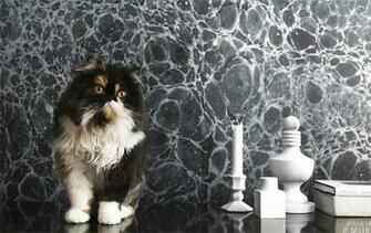 Calico Wallpaper From Brooklyn