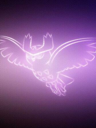 Owl Pokemon Noctowl Resolution Wallpaper HD