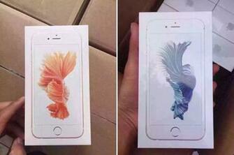 Keempat Model iPhone 6s Mengusung Wallpaper Bertema Ikan