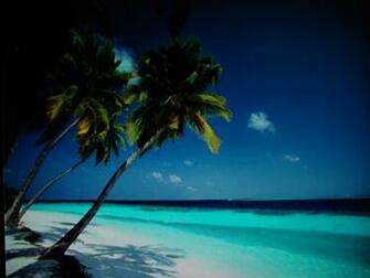 Caribbean Beach Wallpaper Desktop Background For HD