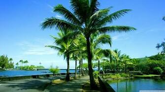 Landscape Desktop HD Wallpaper Hawaii