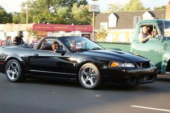 Mustang Cobra Terminators Picture35 Gray Ford Black