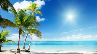 Sunny Tropical Beach Wallpaper