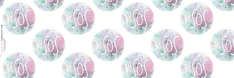 Install This 5sos Header