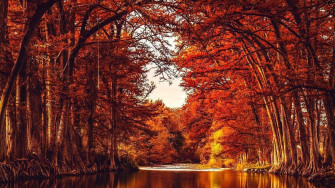 Where To See Fall Foliage Near San Antonio Satxtoday