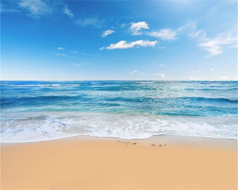Amazon Aofoto Seaside Beach Photography Vacation