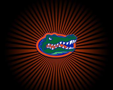 Gator Wallpaper For Desktop On