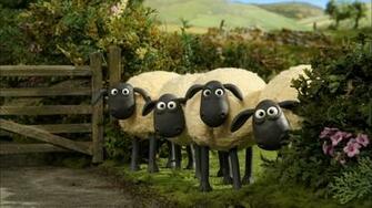 Shaun The Sheep Animation Family Comedy