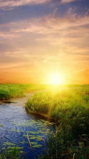 Nature iPhone Wallpaper HD