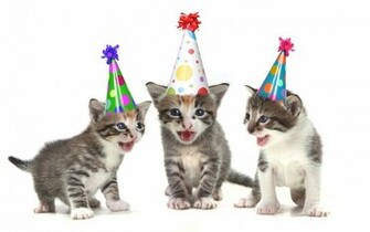 Funny Happy BirtHDay Background Wallpaper Hivewallpaper