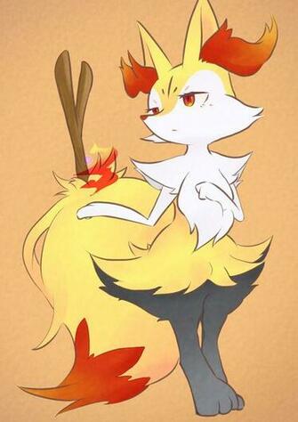 Braixen Pokemon Evolution Image