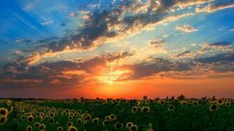 Stunning Sunsets HD Wallpaper