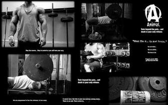 Pin Animal Pak Always With The Strong Motivation Lift