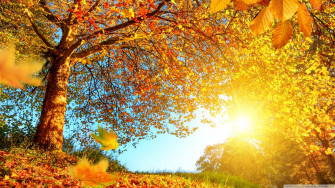 Autumn Landscape Wallpaper