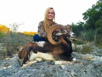 Mouflon Hunting Ox Ranch
